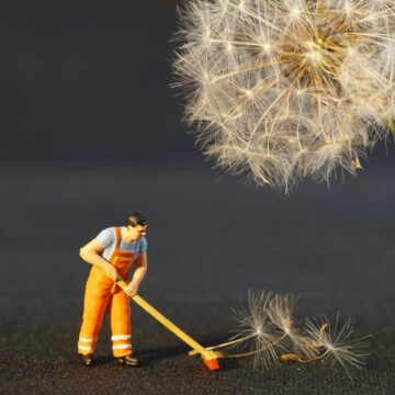Gli effetti benefici delle pulizie di primavera