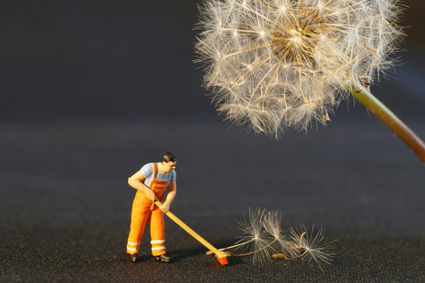 Gli effetti benefici delle pulizie di primavera