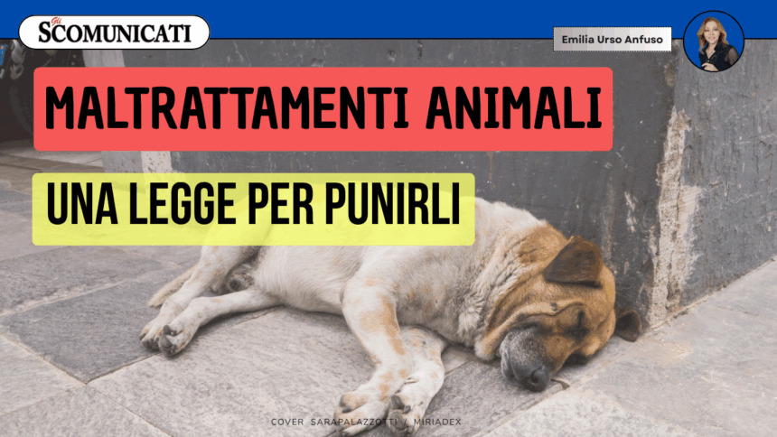 Animali: approvata la riforma che punisce chi li maltratta o uccide