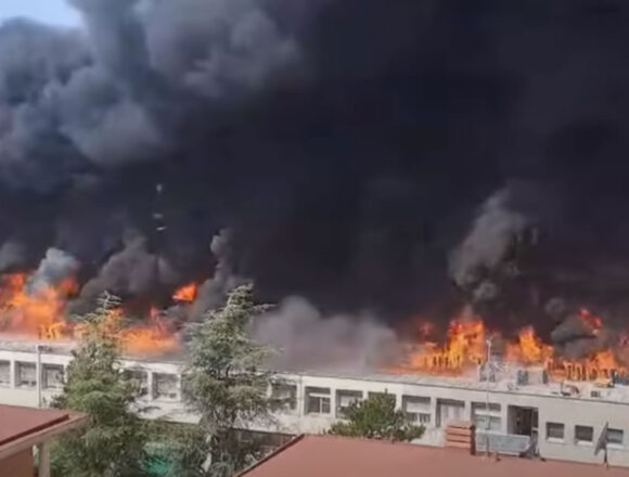 incendio Tuscia Università della Tuscia: un grosso incendio è divampato presso la facoltà di Agraria